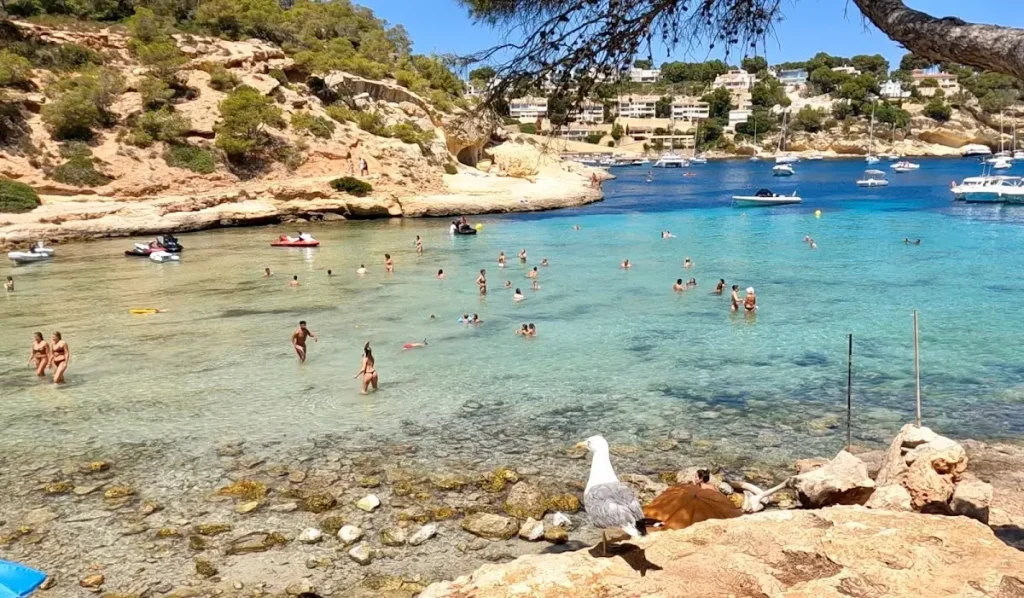 Playa Portals Vells, Calvià, Mallorca